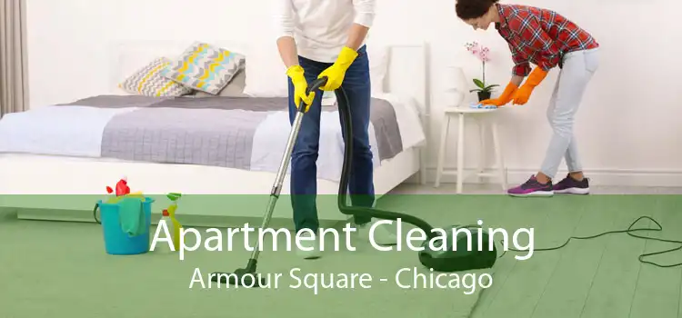 Apartment Cleaning Armour Square - Chicago