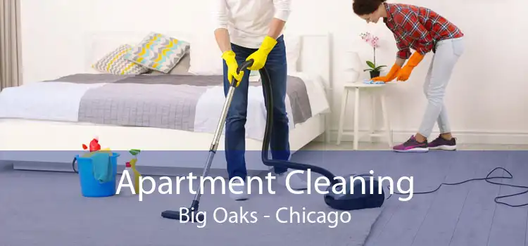 Apartment Cleaning Big Oaks - Chicago