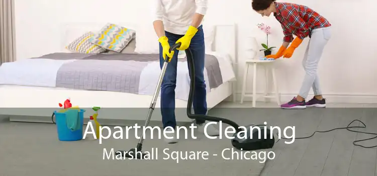 Apartment Cleaning Marshall Square - Chicago
