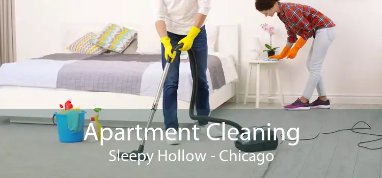 Apartment Cleaning Sleepy Hollow - Chicago