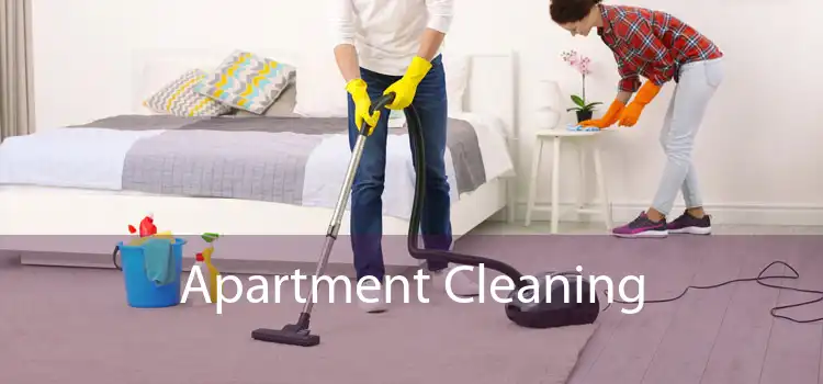 Apartment Cleaning 