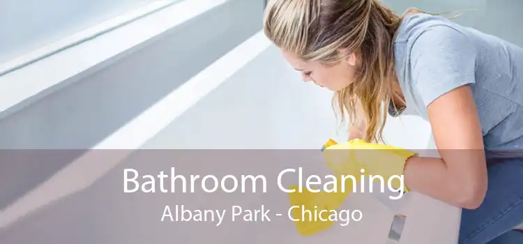 Bathroom Cleaning Albany Park - Chicago