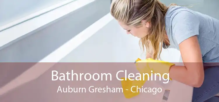 Bathroom Cleaning Auburn Gresham - Chicago