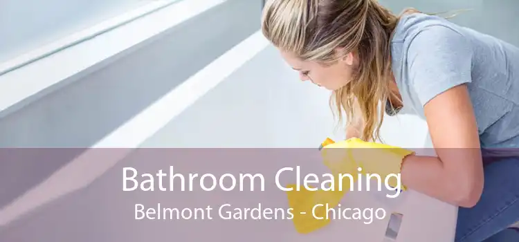 Bathroom Cleaning Belmont Gardens - Chicago