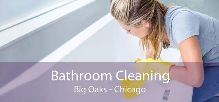 Bathroom Cleaning Big Oaks - Chicago