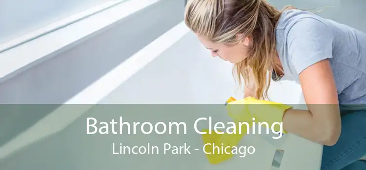 Bathroom Cleaning Lincoln Park - Chicago