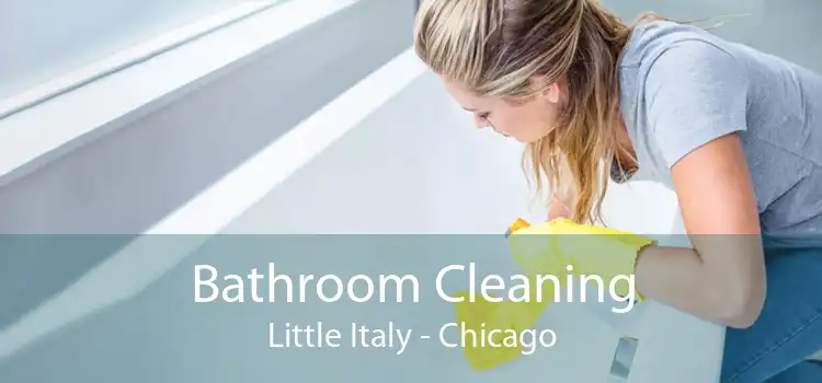 Bathroom Cleaning Little Italy - Chicago