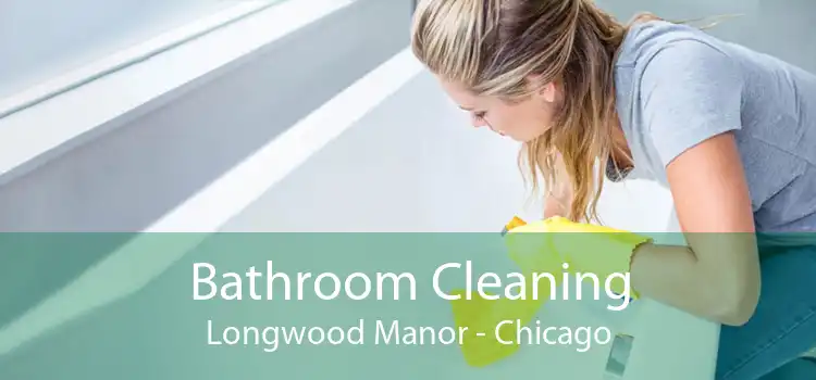 Bathroom Cleaning Longwood Manor - Chicago