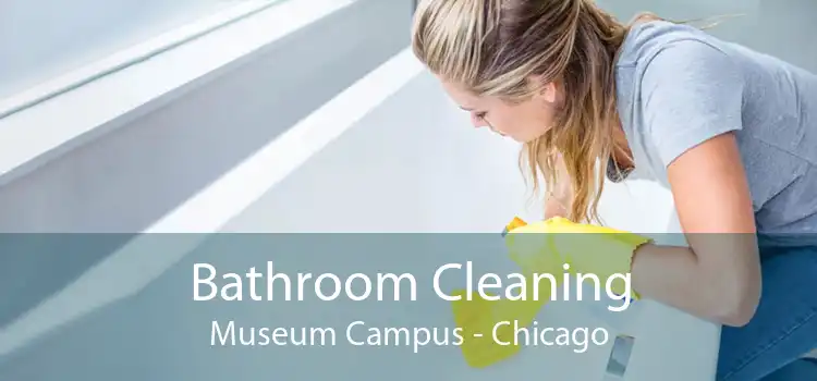 Bathroom Cleaning Museum Campus - Chicago