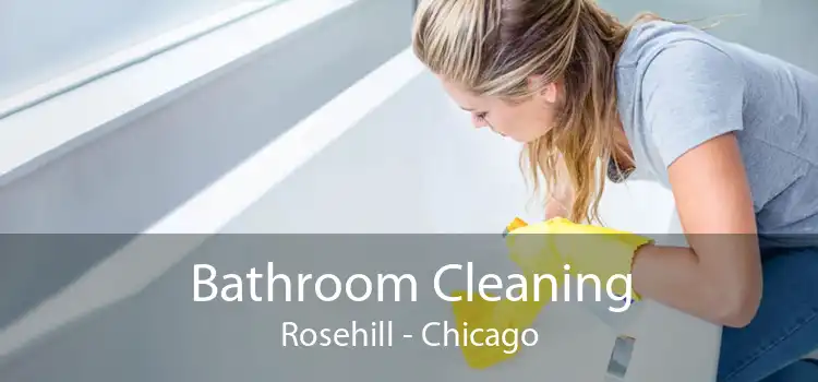 Bathroom Cleaning Rosehill - Chicago