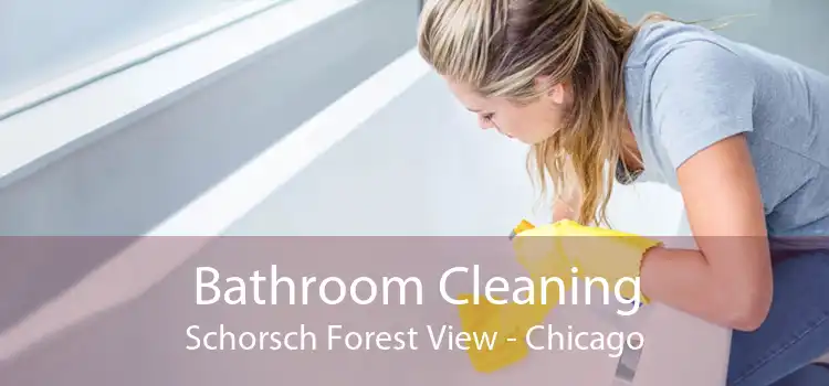 Bathroom Cleaning Schorsch Forest View - Chicago