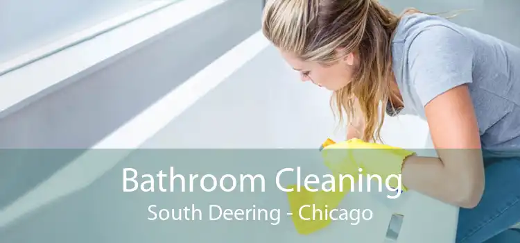 Bathroom Cleaning South Deering - Chicago