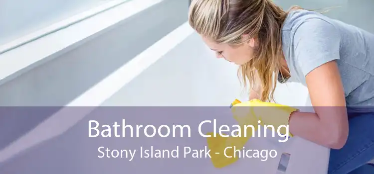 Bathroom Cleaning Stony Island Park - Chicago