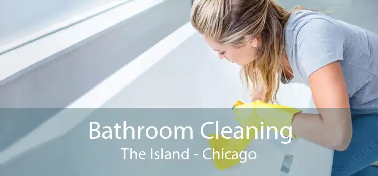 Bathroom Cleaning The Island - Chicago