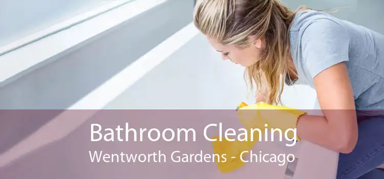 Bathroom Cleaning Wentworth Gardens - Chicago