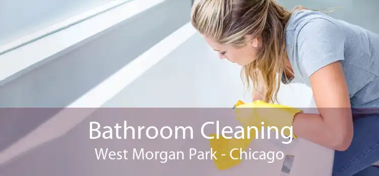 Bathroom Cleaning West Morgan Park - Chicago