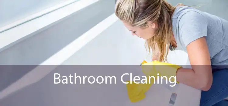 Bathroom Cleaning 