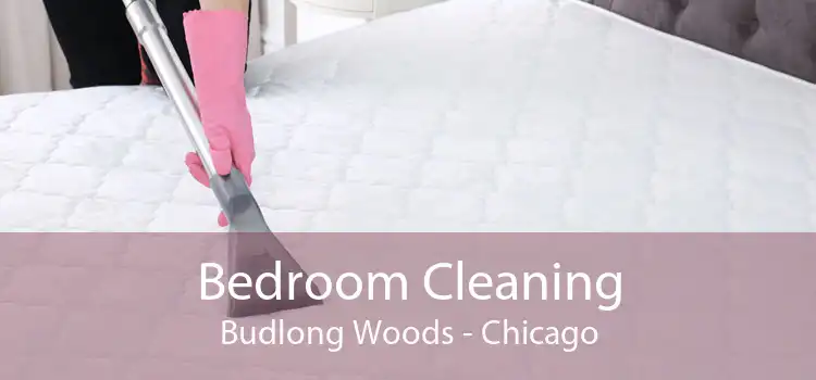 Bedroom Cleaning Budlong Woods - Chicago