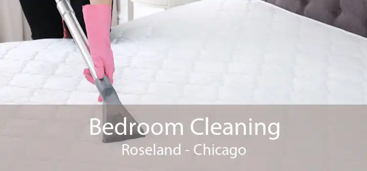 Bedroom Cleaning Roseland - Chicago
