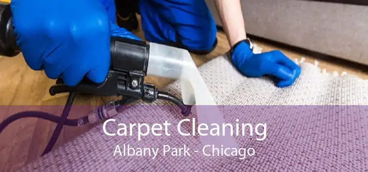 Carpet Cleaning Albany Park - Chicago
