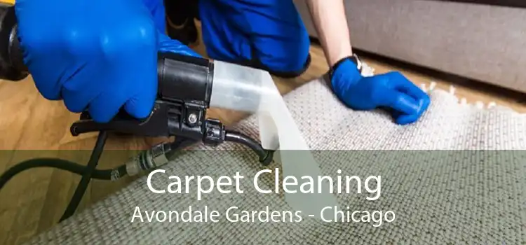 Carpet Cleaning Avondale Gardens - Chicago