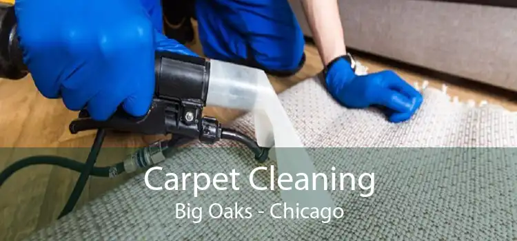 Carpet Cleaning Big Oaks - Chicago