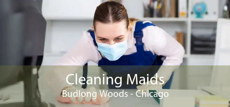 Cleaning Maids Budlong Woods - Chicago