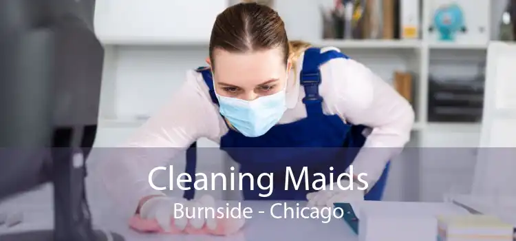 Cleaning Maids Burnside - Chicago