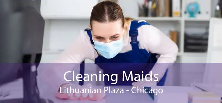 Cleaning Maids Lithuanian Plaza - Chicago