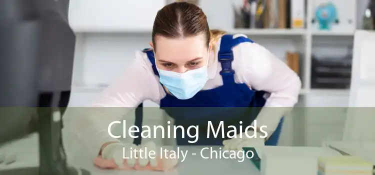 Cleaning Maids Little Italy - Chicago