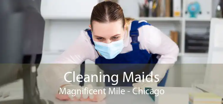 Cleaning Maids Magnificent Mile - Chicago