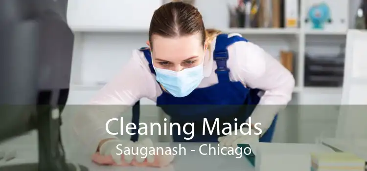 Cleaning Maids Sauganash - Chicago