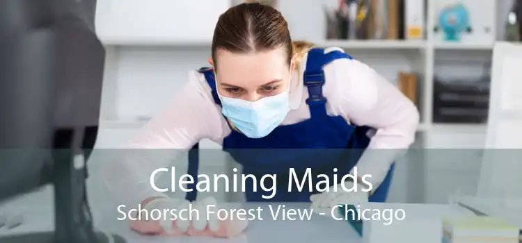 Cleaning Maids Schorsch Forest View - Chicago