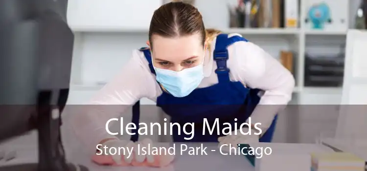 Cleaning Maids Stony Island Park - Chicago
