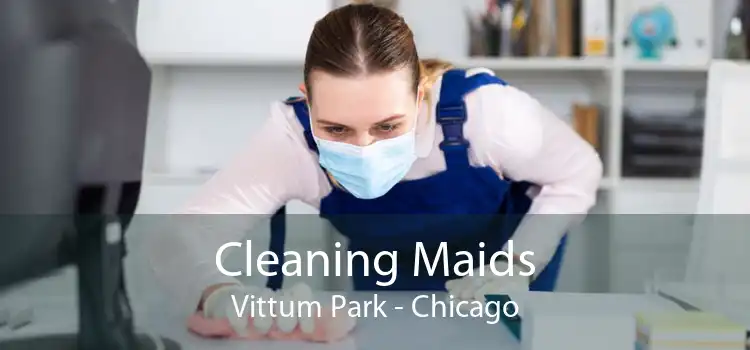 Cleaning Maids Vittum Park - Chicago