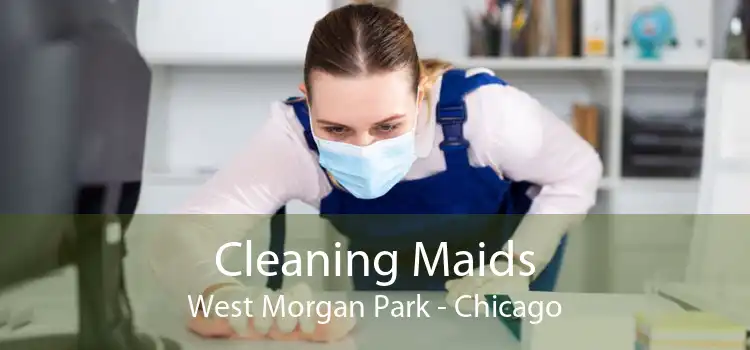 Cleaning Maids West Morgan Park - Chicago