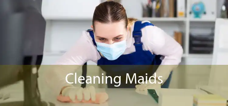 Cleaning Maids 