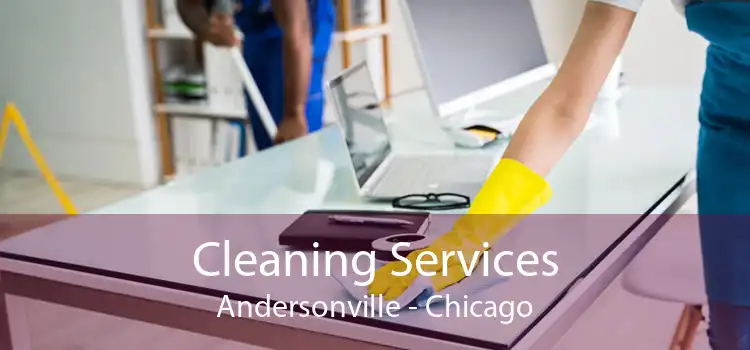 Cleaning Services Andersonville - Chicago