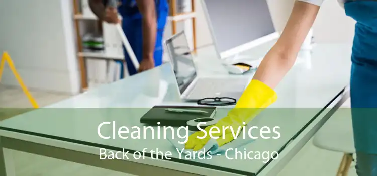 Cleaning Services Back of the Yards - Chicago
