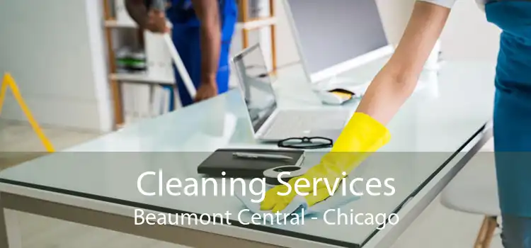 Cleaning Services Beaumont Central - Chicago