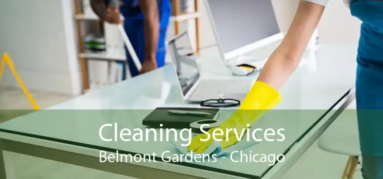 Cleaning Services Belmont Gardens - Chicago