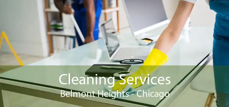 Cleaning Services Belmont Heights - Chicago