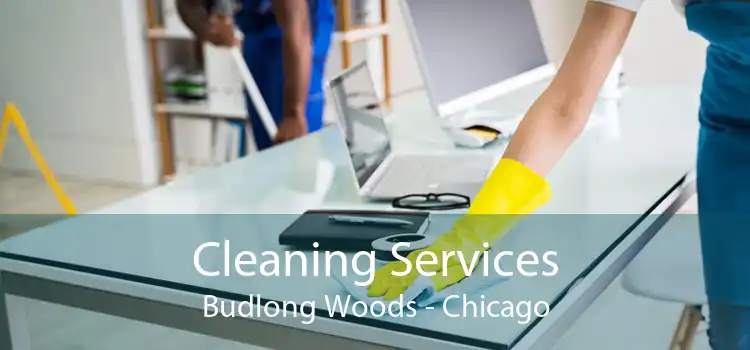 Cleaning Services Budlong Woods - Chicago