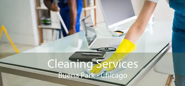 Cleaning Services Buena Park - Chicago