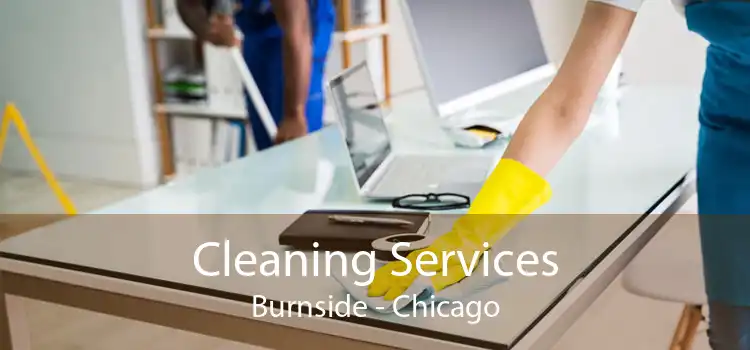 Cleaning Services Burnside - Chicago