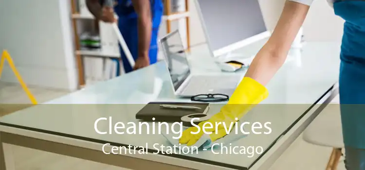Cleaning Services Central Station - Chicago