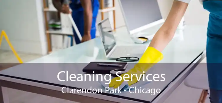 Cleaning Services Clarendon Park - Chicago