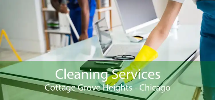 Cleaning Services Cottage Grove Heights - Chicago