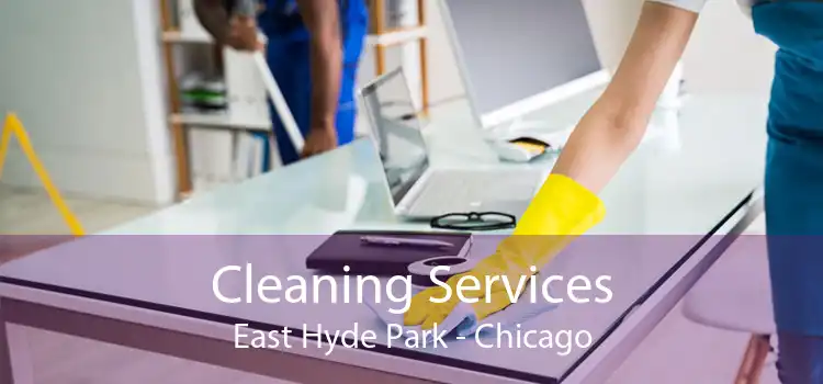 Cleaning Services East Hyde Park - Chicago