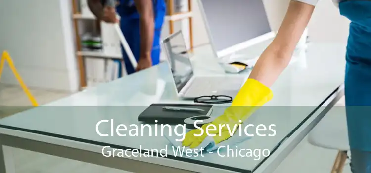 Cleaning Services Graceland West - Chicago